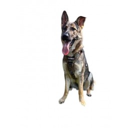 Шлейка тактическая облегченная SturmDog, Multicam