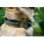 Ошейник 40 мм Cobra D-Ring SturmDog, Black, SD-404