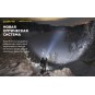 Фонарь Armytek Dobermann Pro Max Magnet USB, белый свет Фонарь Armytek Dobermann Pro Max Magnet USB, белый свет