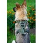 Шлейка тактическая облегченная SturmDog, Ranger Green, SD-201.3